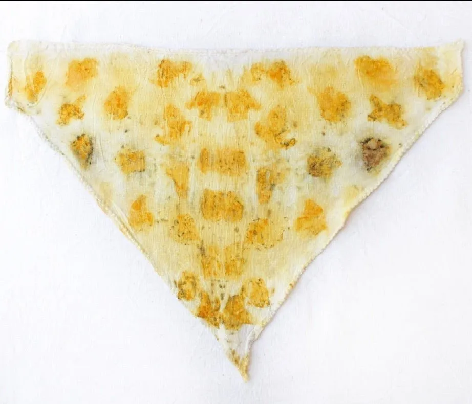 Eco Printed Organic Cotton Pet Scarf- Yellow White