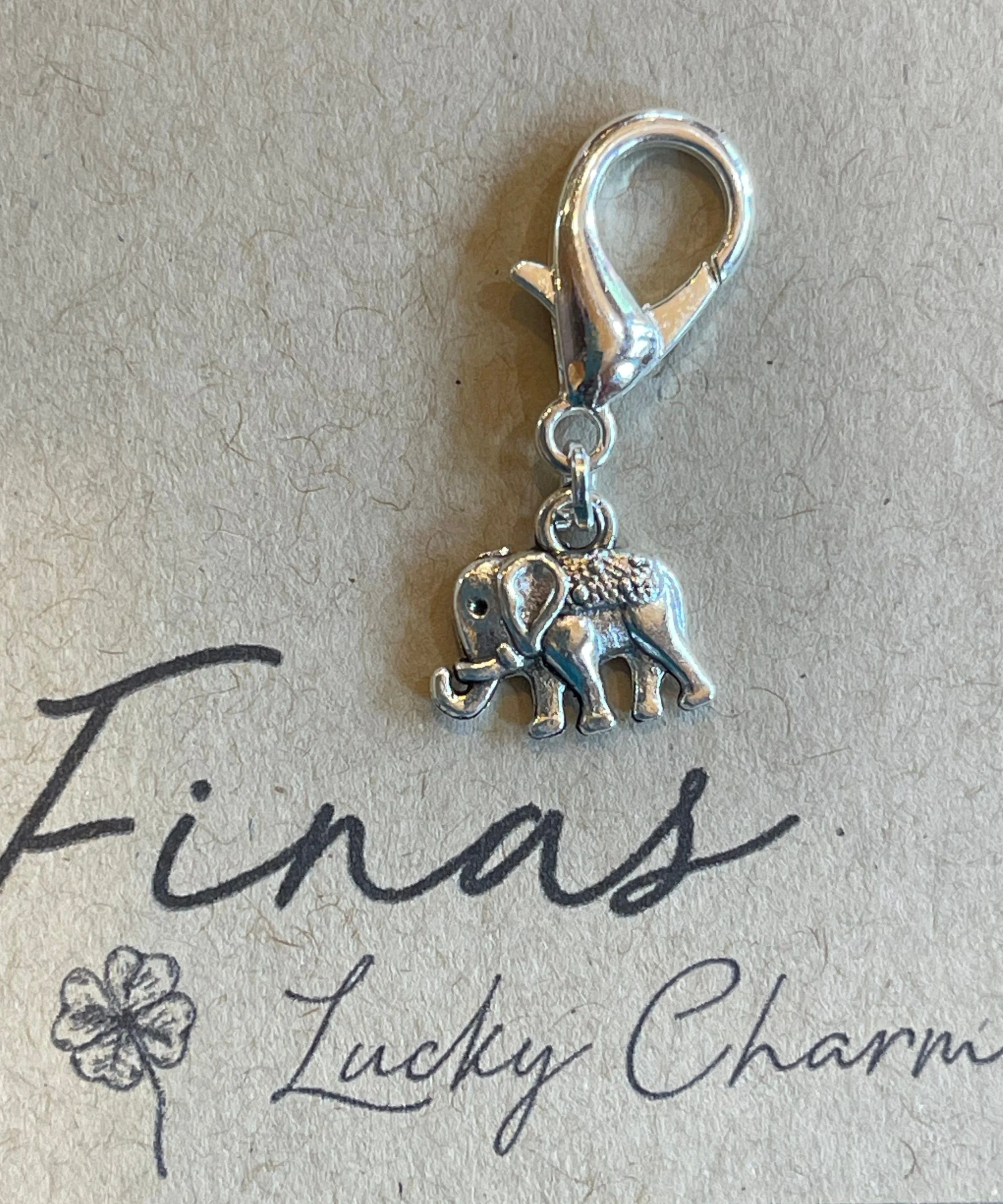 Fina's Lucky Charm