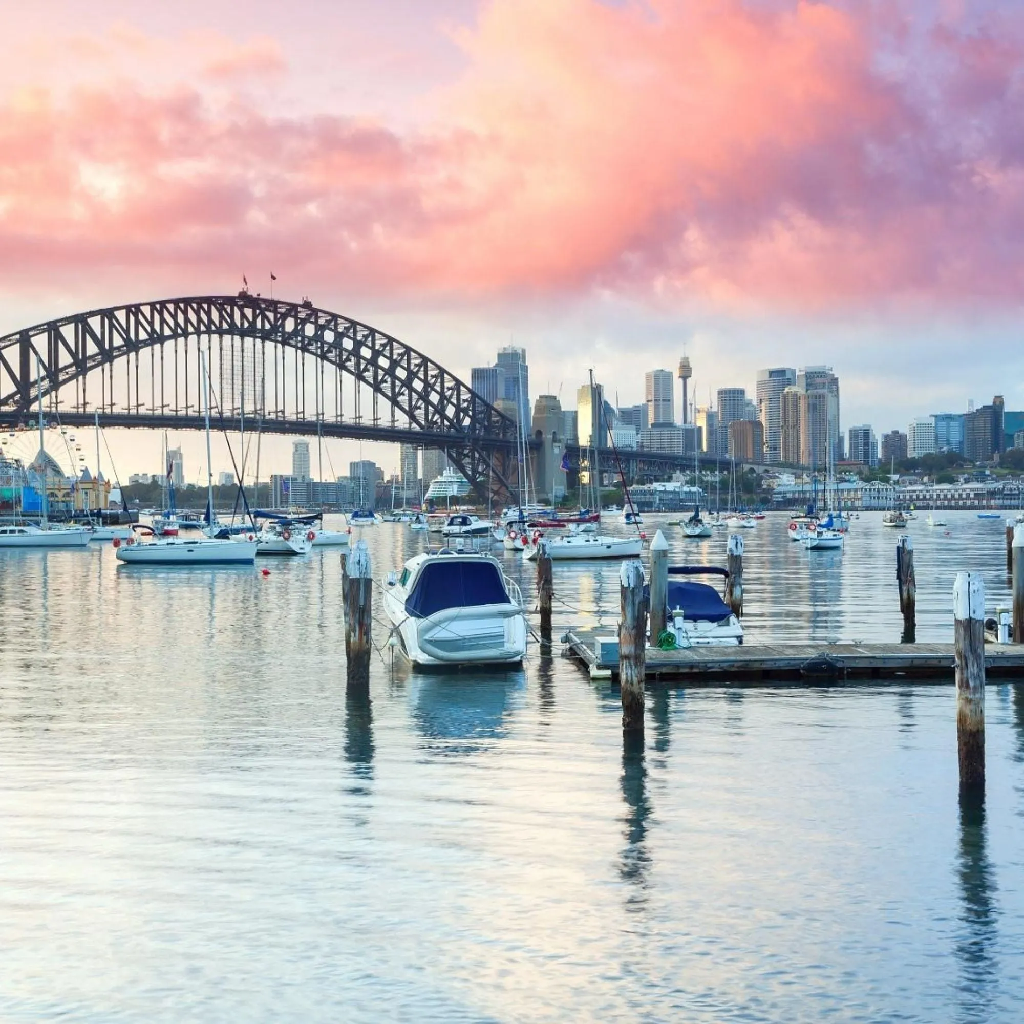 Lavender Bay, Sydney Scarf