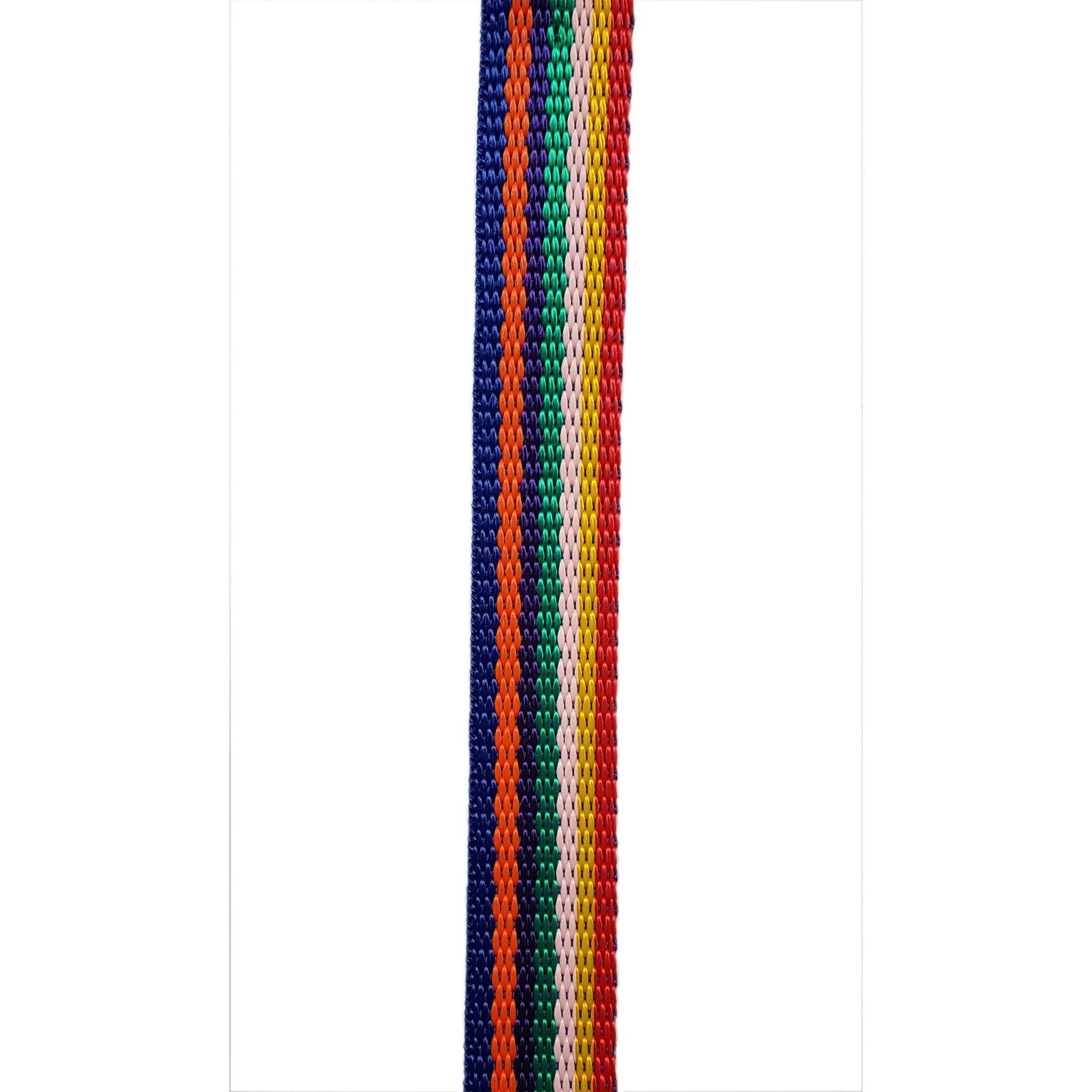 Rainbow Webbing 1" 25mm